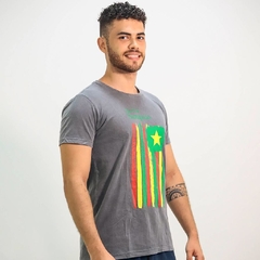 Camiseta Linha Sampaio 3 - Loja Oficial do Sampaio Corrêa