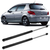 Kit 2 Amortiguadores Porton Peugeot 307 3/5 Puertas