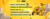 Imagem do banner rotativo 4