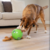 Outward Hound Nina Ottosson Brinquedo interativo para cães Snuffle N' Treat - comprar online