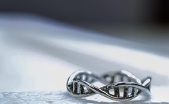 Anel DNA 3D prateado