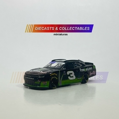 NASCAR 2022 - #3 JEFFREY EARNHARDT - FOREVERLAWN na internet