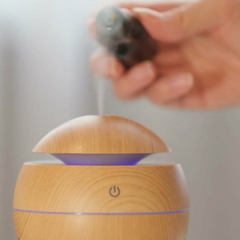 HUMIDIFICADOR DE AMBIENTE en internet