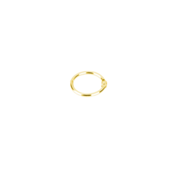 ARGOLA ARTICULADA | 19MM | DOURADO