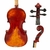 Violino Di Pietro Atelier Stradivari 4/4 N°14 - comprar online
