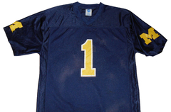 - CAMISETA NFL - MICHIGAN WOLVERINES - L - 265 - comprar online