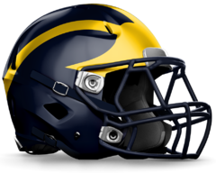 - BUZO DEPORTIVO - NFL - MICHIGAN WOLVERINES - M - 414 en internet