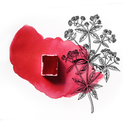 Alizarin Crimson vegetal genuíno aquarela de origem vegetal - linha profissional - comprar online