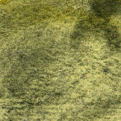 Amarelo esverdeado Ipê - aquarela profissional com granulação