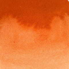 Laranja queimado (Carrot) - aquarela de linha profissional.