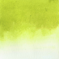 Verde limão (shisô) - aquarela de linha profissional - comprar online