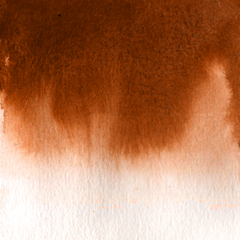 Aquarela fluida na cor Burnt Sienna - tinta de linha profissional na internet