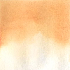 Salmão pastel (temaki) - aquarela de linha profissional