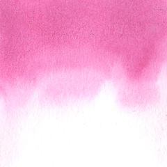 Rosa pastel (yogurte) - aquarela de linha profissional