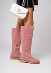 Botas Rosa Dior