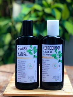 Kit shampoo e condicionador para cabelos Secos