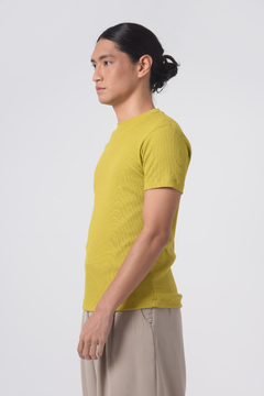 Camiseta Gola Careca Tee B Celery Canelado na internet