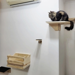 PLAYGROUND PARA GATOS, 24 PÇS - MAINE COON - GATIFICAÇÃO PERSONALIZADA na internet