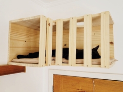 nicho de esquina em treliça para gatos, gatificação personalizada, verticalização