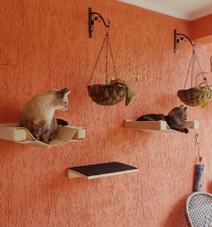 Dois gatos em um playground para gatos YOGO, com prateleiras montadas na parede laranja.