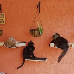 Playground para gatos Descoberta, 9 PEÇAS - GATIFICAÇAO PERSONALIZADA, VERTICALIZAÇAO - Gatificação Pet Art - playground para gatos, marcenaria para animais. Melhores preços 