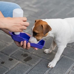 Cachorro bebendo água de um bebedouro portátil na mão de uma pessoa.