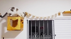 Playground para gatos ECO NICHO, 14 peças - gatificaçao pet art, verticalização - loja online