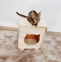Casinha para gatos - Gato chique, gatificação personalizada na internet