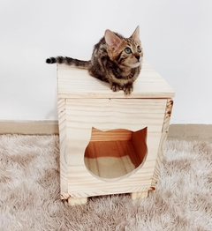 Casinha para gatos - Gato chique, gatificação personalizada - loja online