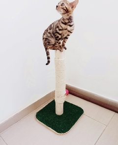 Arranhador para gatos Rustico Beleza natural, gatificaçao personalizada pet art