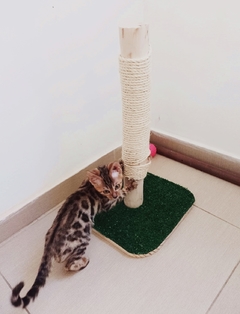 Arranhador para gatos Rustico Beleza natural, gatificaçao personalizada pet art - comprar online