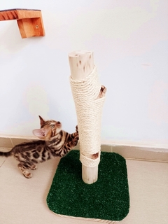 Arranhador para gatos Rustico Beleza natural, gatificaçao personalizada pet art na internet