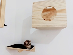 Playground para gatos ECO NICHO, 14 peças - gatificaçao pet art, verticalização na internet