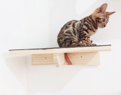 Prateleira para gatos, gatificação - verticalização personalizada, peças para playground de gatos em madeira maciça