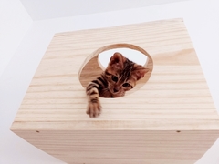 Nicho para gatos Medio- peças para gato, gatificaçao pet art - comprar online
