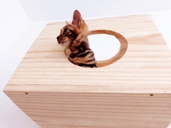 Nicho para gatos Medio- peças para gato, gatificaçao pet art - loja online