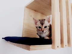 Nicho Treliçado para gatos, gatificaçao personalizada, verticalizaçao na internet