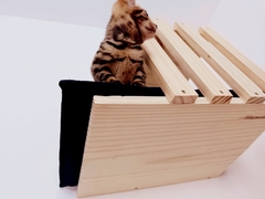 Nicho Treliçado para gatos, gatificaçao personalizada, verticalizaçao - Gatificação Pet Art - playground para gatos, marcenaria para animais. Melhores preços 