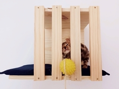 Nicho Treliçado para gatos, gatificaçao personalizada, verticalizaçao