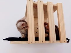 Nicho Treliçado para gatos, gatificaçao personalizada, verticalizaçao na internet