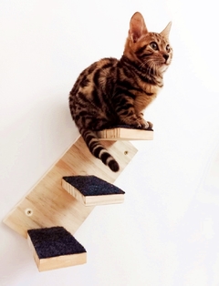 Um gato com padrão de pelagem malhado sentado em uma prateleira de madeira com tapetes de feltro, parte de um playground para gatos.