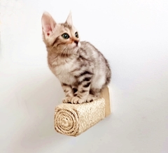 Arranhador para gatos Pino - gatificação pet art, verticalizaçao - Gatificação Pet Art - playground para gatos, marcenaria para animais. Melhores preços 