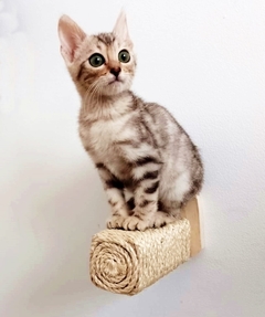 Gato cinza sentado em um playground para gatos, mostrando a verticalização e a superfície de arranhar em formato de rolo.
arranhador para gatos pino