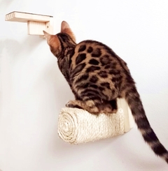 Arranhador para gatos Pino - gatificação pet art, verticalizaçao - loja online
