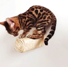 Imagem do Arranhador para gatos Pino - gatificação pet art, verticalizaçao