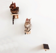 Imagem do Playground para gatos Ecodegraus, 5 peças - gatificaçao pet art, verticalizaçao personalizaçao