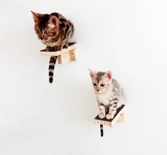 Playground para gatos Ecodegraus, 5 peças - gatificaçao pet art, verticalizaçao personalizaçao