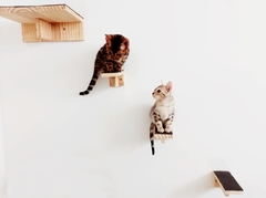 Playground para gatos Ecodegraus, 5 peças - gatificaçao pet art, verticalizaçao personalizaçao - Gatificação Pet Art - playground para gatos, marcenaria para animais. Melhores preços 