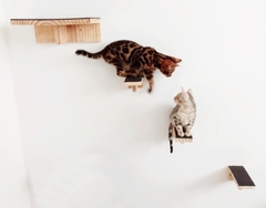 Playground para gatos Ecodegraus, 5 peças - gatificaçao pet art, verticalizaçao personalizaçao - comprar online