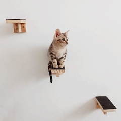 Gato em um playground de madeira para gatos, com prateleiras montadas na parede.